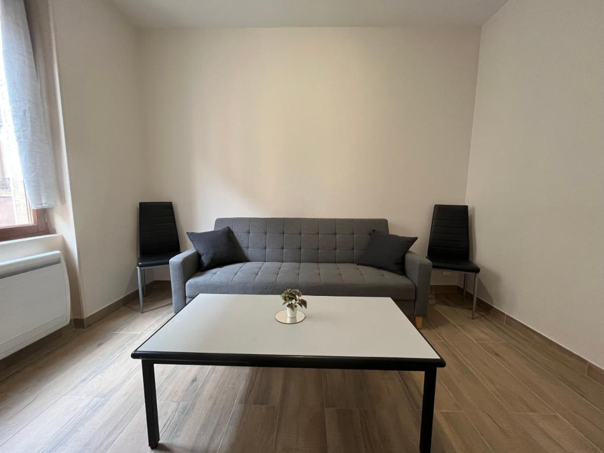 Appartement Renove A 15 Min De Lyon Saint-Fons Zewnętrze zdjęcie