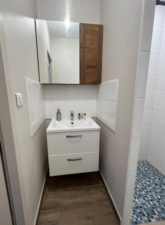 Appartement Renove A 15 Min De Lyon Saint-Fons Zewnętrze zdjęcie